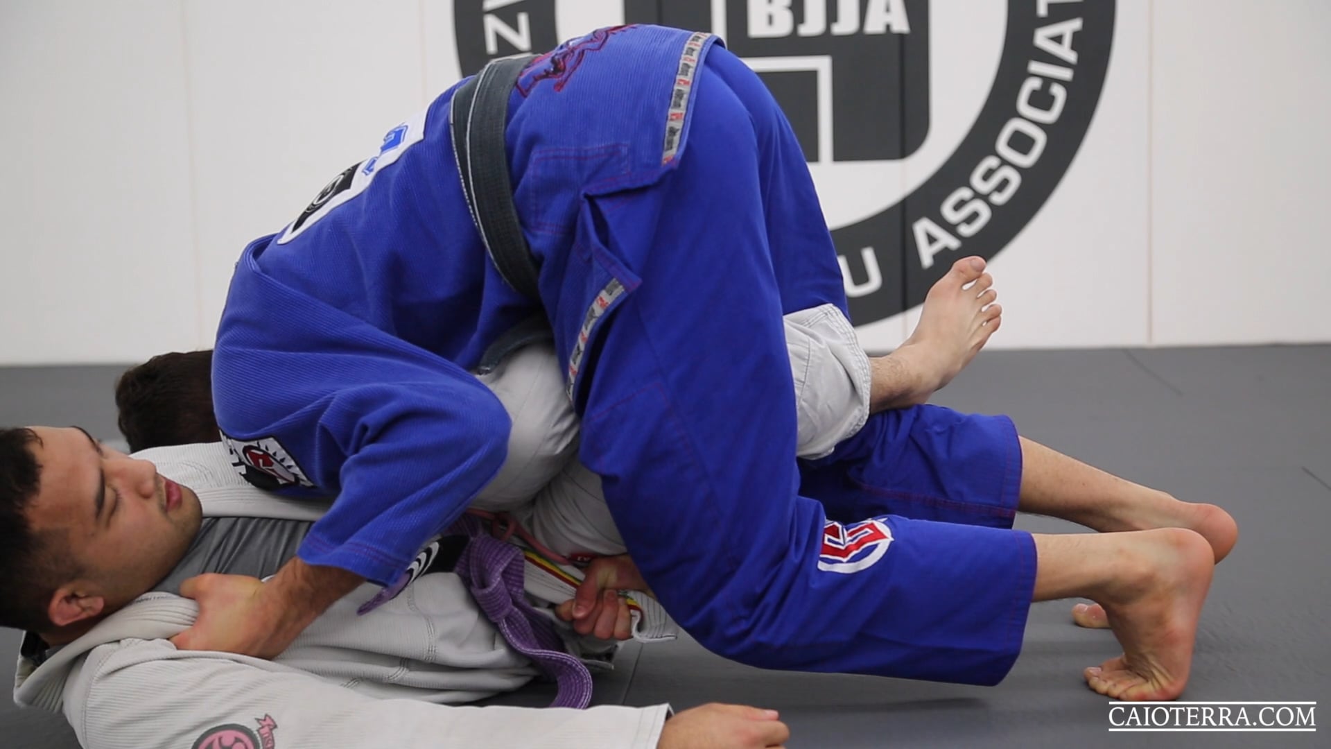 Amazon.com: 111 Half Guard Techniques with Caio Terra : Caio