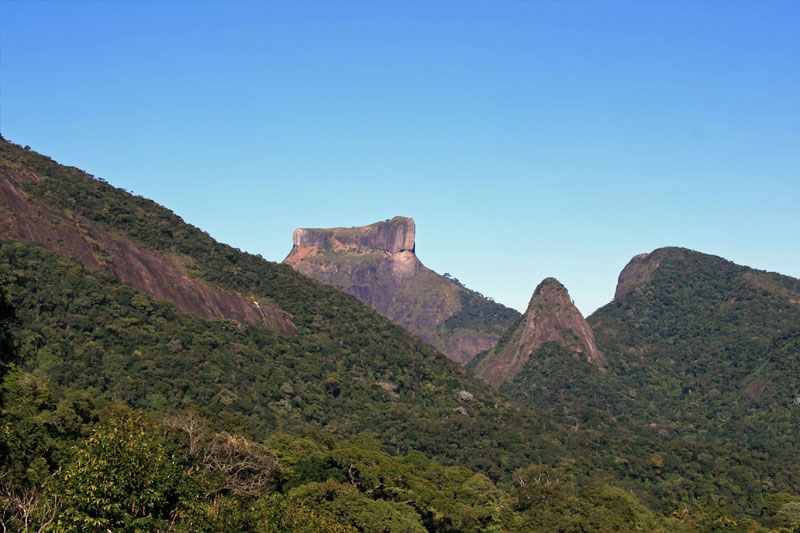 tijuca-forest-img